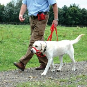 Halti Headcollar, Red (Size 3)