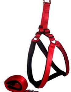 Paws For A Cause High Quality Nylon With Black Padding Dog Harness 1.25 Inch Red