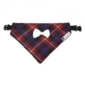 The Scotland Plaid Dog Bandana