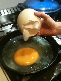 Ostrich Egg