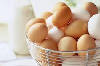 Albumen Egg Powder