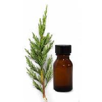 Cypress Oil or Cyprus Scarioses