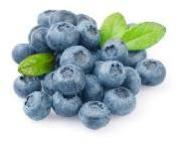 Bilberry Extract