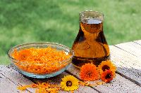 Calendula Oil