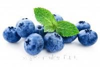 Bilberry Extract