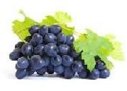 Bilberry Extract