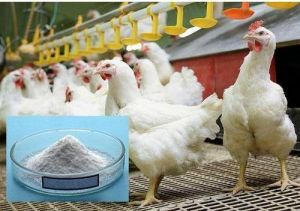 Poultry Vitamin & Selenium Supplement