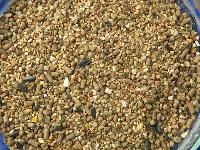 Poultry Feed Ingredients