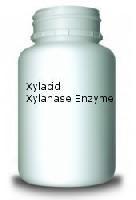 Xylanase Enzyme