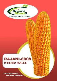 Rajani-8808 Hybrid Maize Seeds