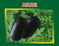 Aruni Hybrid Watermelon Seeds