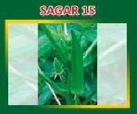 Sagar-15 Hybrid Lady Finger Seeds