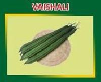 Vaishali Hybrid Ridge Gourd Seeds