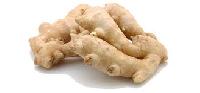 Fresh Ginger