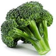 Fresh Broccoli