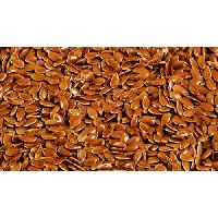 Flax Seed Oil