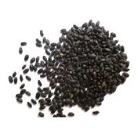 Rama Tulsi Seeds