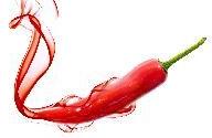 Chili Pepper /  Red chilly