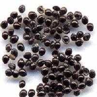 Bhindi Seed