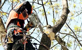 STIHL chain saws