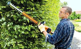 Cordless Li-Ion hedge trimmers