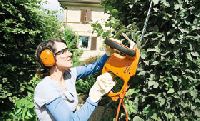 Electric hedge trimmers