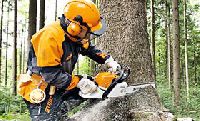 Petrol Chain Saws For Forestry