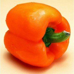 Capsicum Orange Wonder Seeds