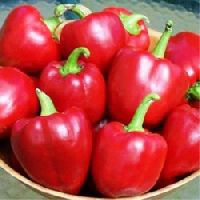 Capsicum Red Seeds