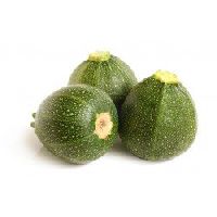 Squash Round Green Seeds