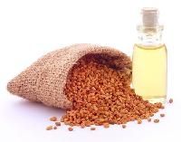 Fenugreek Oil