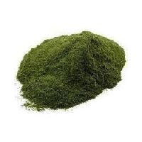 Neem Powder