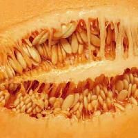 Cantaloupe Seeds