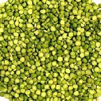 Green Lentils