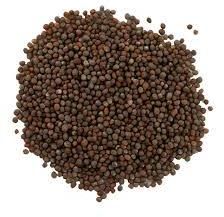 Black Mustard Seeds