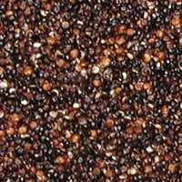 High Quality Black Quinoa Seeds