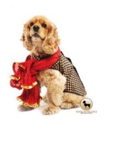 HUFT Customized Black Dotted Dog Sherwani