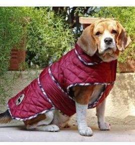 HUFT Grrrberry Dog Jacket