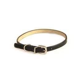 Puppy and Cat Black Collar