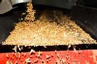 Grains Cleaning Services