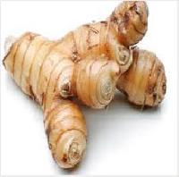 Galangal Oil