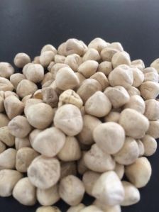 MORINGA KERNEL SEEDS