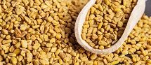 10-40% Fenugreek Extract