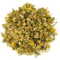 Chamomile Egyptian Tea