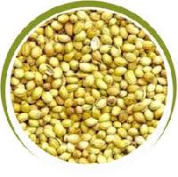 agri seeds