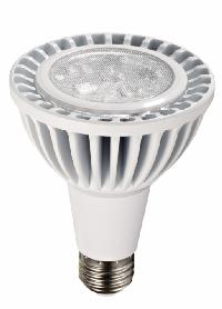 PAR30 LED Lamp