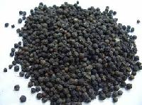 Organic Black Pepper