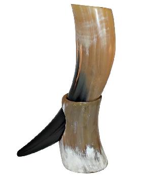 Drinking Horn 12