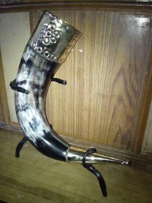 Drinking Horn 14