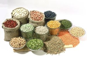 Indian Pulses